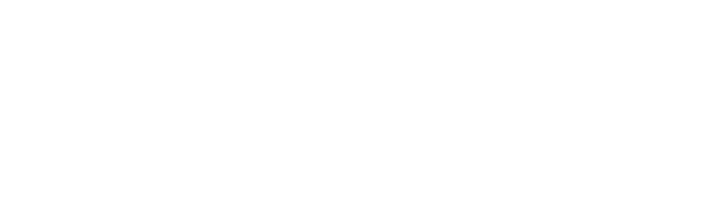 Efficient Leaders